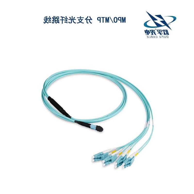 陕西MPO/MTP 分支光纤跳线