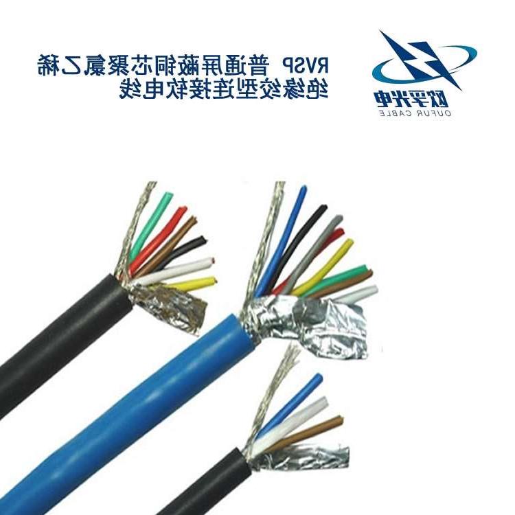 广州市RVSP电缆