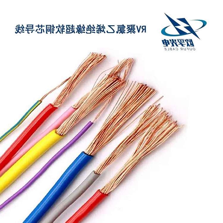 广州市RV电线电缆